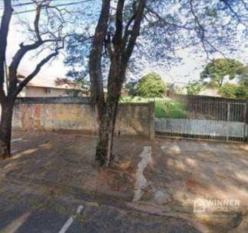 land_lot em Rua Guaporé, Centro - Paranavaí - PR