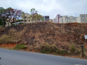 land_lot em Avenida Mário Martins de Freitas, Guarapiranga - Ponte Nova - MG