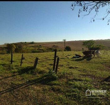 land_lot em Avenida Doutor Luiz Teixeira Mendes, Zona 07 - Maringá - PR