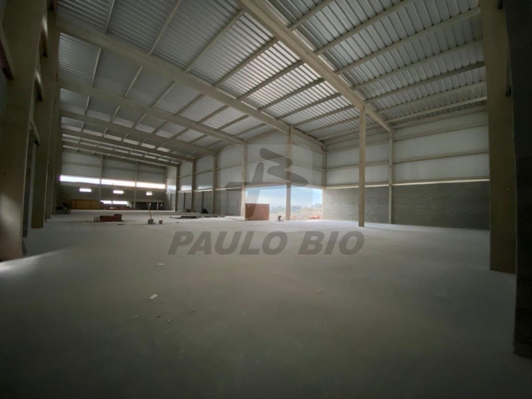 WhatsApp Image 2025-09-04 at 13.03