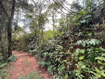 land_lot em Rua Antonio da Silva Ligeiro, Independência - Petrópolis - RJ