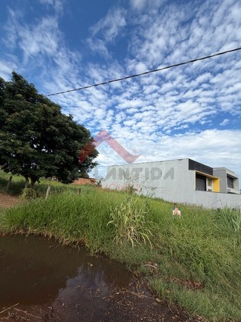 land_lot em Rua Elétrico Bracale, Parque São Gabriel - Andradina - SP