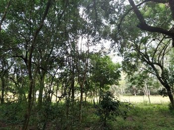 land_lot em Armando Inacio da Silveira, Extrema - Porto Alegre - RS