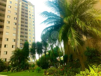 apartment em Rua Eleutério, Vila Camilópolis - Santo André - SP