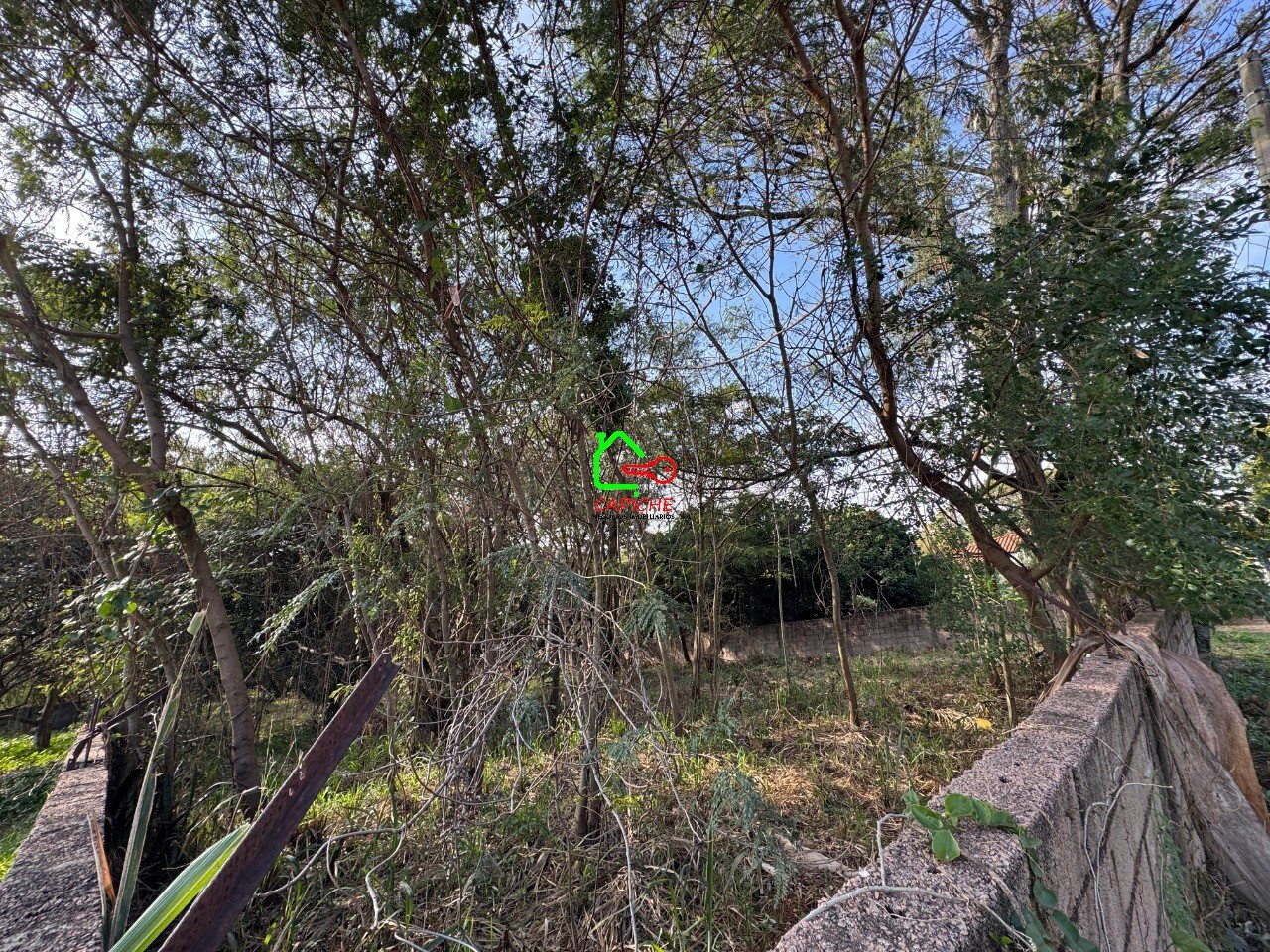 image-0