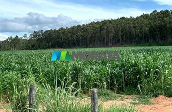 agricultural em Avenida Caetano Marinho, Centro - Ponte Nova - MG
