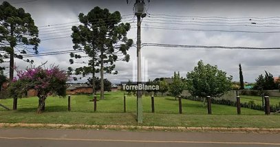 land_lot em Avenida dos Pioneiros, Centro - Carambeí - PR