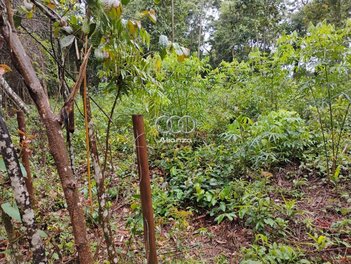 land_lot em Alameda Quaresmeira, Parque do Engenho - Nova Lima - MG