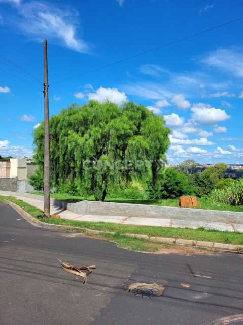 image-0