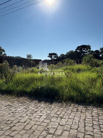 land_lot em Rua Leocadio Pistorello, São Luiz - Caxias do Sul - RS