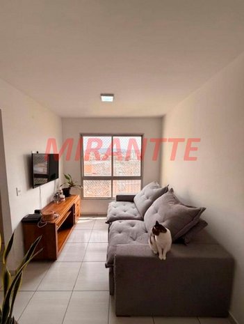 apartment em Rua Padre Mariano Ronchi, Vila Pereira Cerca - São Paulo - SP