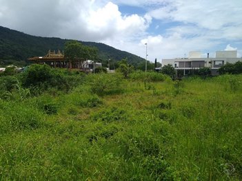 land_lot em Liberato Carioni, Lagoa da Conceição - Florianópolis - SC