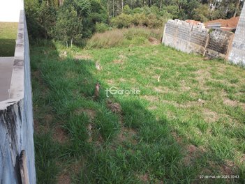 land_lot em Rua Washington, San Diego - Vargem Grande Paulista - SP