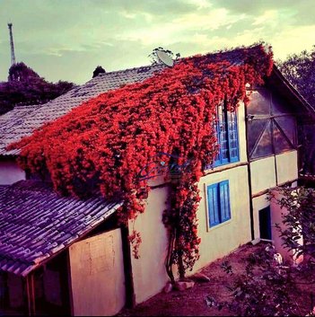 house em Rua Marte, Portal Roselândia - Cotia - SP