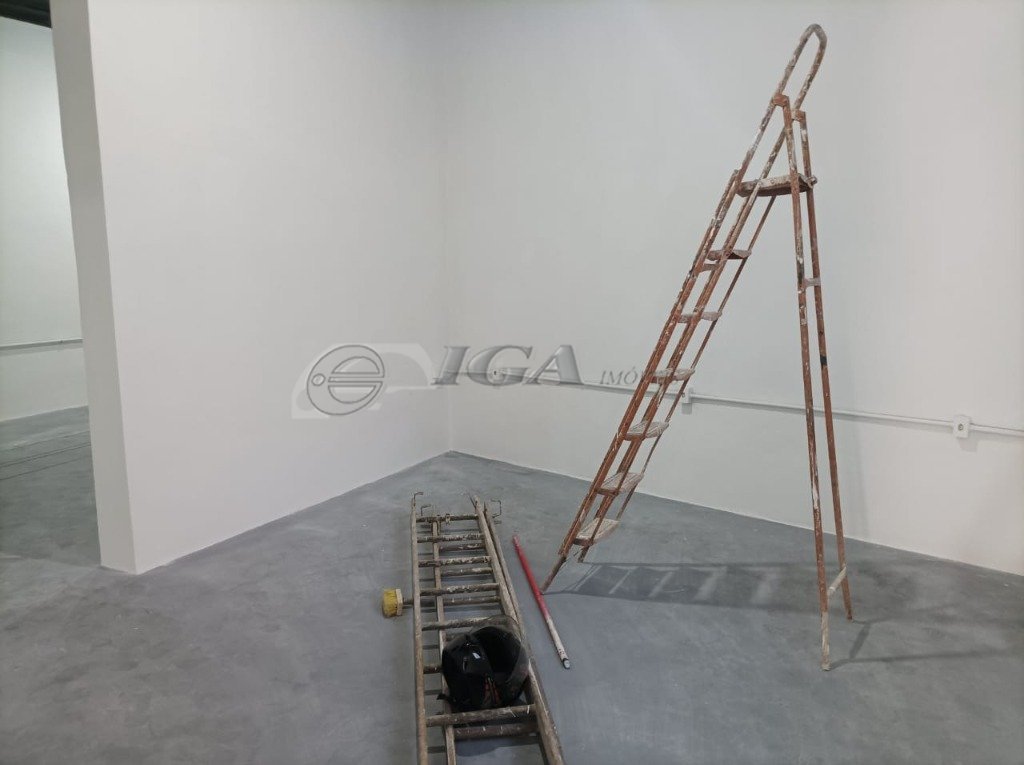 WhatsApp Image 2023-10-23 at 16.11