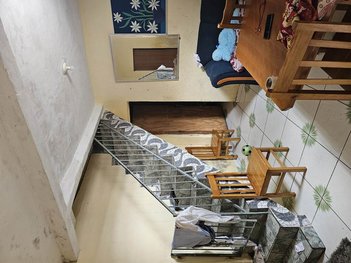 house em Avenida Santo Afonso, Jardim Íris - São Paulo - SP