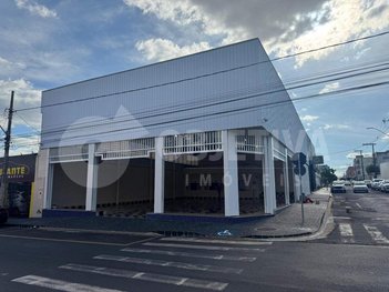 business em Avenida João Pinheiro, Brasil - Uberlândia - MG