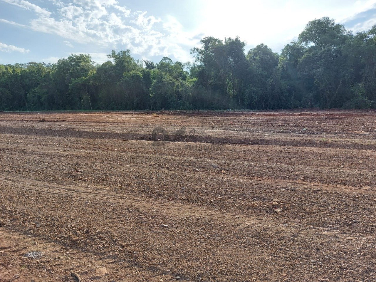 WhatsApp Image 2022-04-06 at 10.46