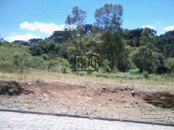 land_lot em Rua Giácomo Pedron, Salgado Filho - Caxias do Sul - RS