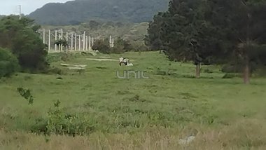 land_lot em Candido Pereira dos Anjos, São João do Rio Vermelho - Florianópolis - SC