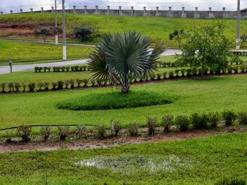 land_lot em Avenida Serra do Mar, Loteamento Comercial e Residencial Hataville - Tremembé - SP