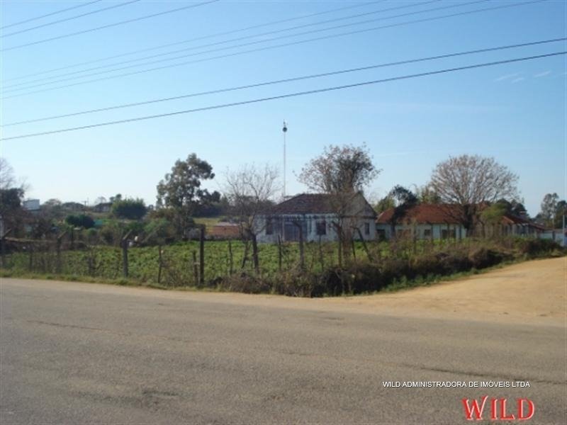 foto550-g