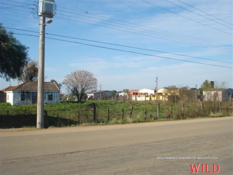 foto551-g