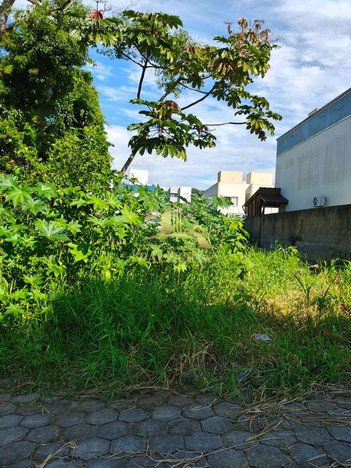 land_lot em Rua Aureliano Pires da Silva, Serraria - São José - SC