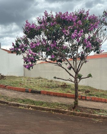 land_lot em Rua Cesário Romani, Jardim Campos Prado - Jaú - SP