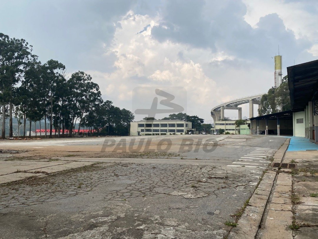 WhatsApp Image 2025-03-24 at 15.05