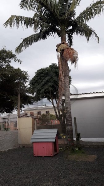 Cômodo Condomínio