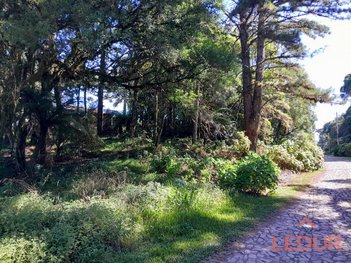 land_lot em Rua Maracajás, São Francisco de Paula - São Francisco de Paula - RS