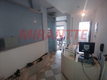 office em Clélia, Água Branca - São Paulo - SP