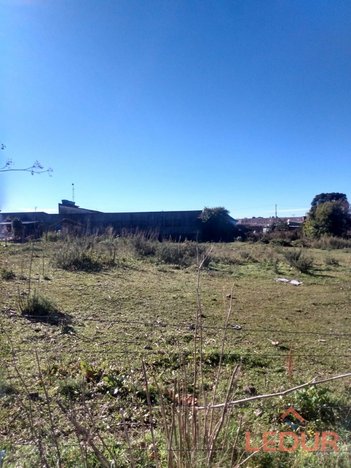 land_lot em Rua Machado de Assis, São Francisco de Paula - São Francisco de Paula - RS