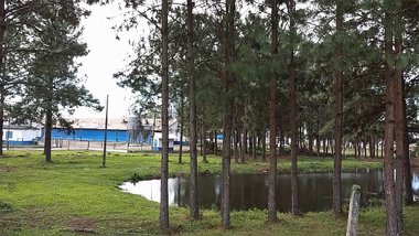 industrial em Rodovia ARA-208, Coloninha - Araranguá - SC