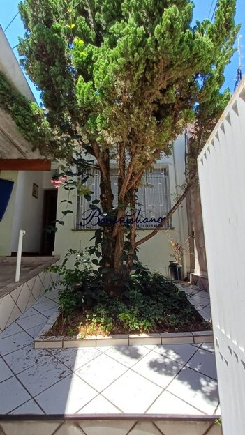 house em Rua Padre Agostinho Poncet, Água Fria - São Paulo - SP