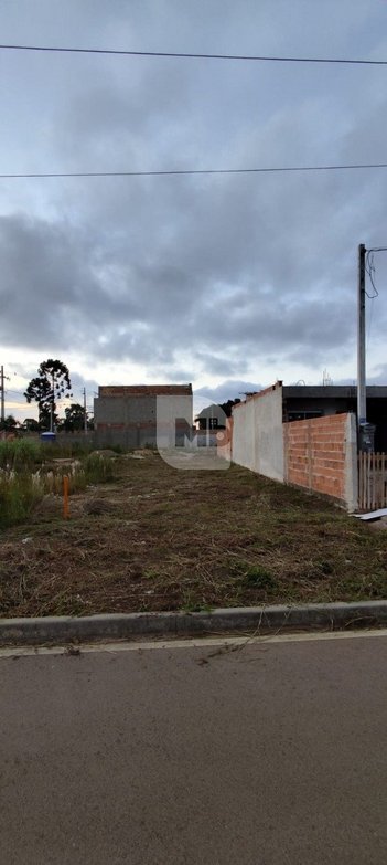 land_lot em Rua Maria Luiza Charvet, Costeira - Araucária - PR