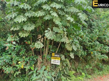 land_lot em Alameda dos Mamoeiros, Parque Valinhos - Valinhos - SP