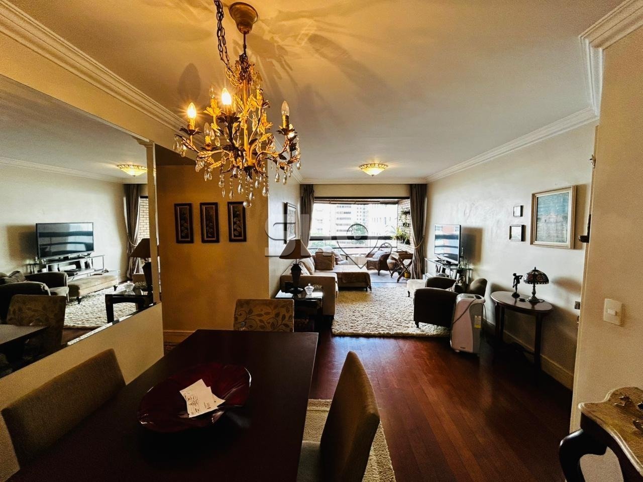 WhatsApp Image 2025-11-25 at 18.25