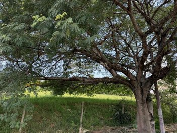 land_lot em Rua Vinícius de Moraes, Marechal Rondon - Canoas - RS