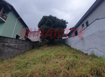 land_lot em Rua Messina, Jardim Leonor Mendes de Barros - São Paulo - SP