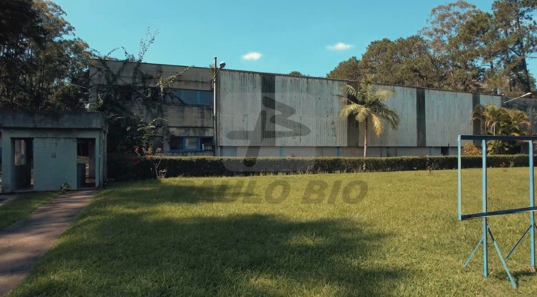 image - 2025-09-05T081950