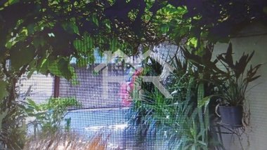 house em Rua Dona Amélia, Santa Tereza - Porto Alegre - RS