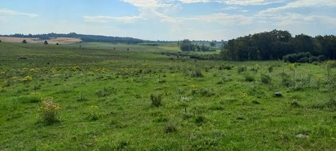 commercial_building em Rural, Área Rural de Santana do Livramento - Sant'Ana do Livramento - RS