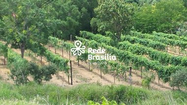 agricultural em Rodovia DF-250, Região dos Lagos (Sobradinho) - Brasília - DF