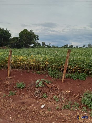 agricultural em Área Rural, Área Rural de Tatuí - Tatuí - SP