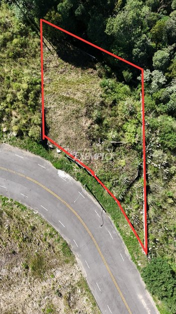 land_lot em Avenida Vereadora Geni Petteffi, São Virgílio - Caxias do Sul - RS