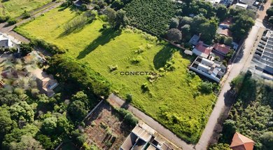 land_lot em Avenida Pinho Araucária, Núcleo Habitacional Afonso Alves de Camargo - Apucarana - PR