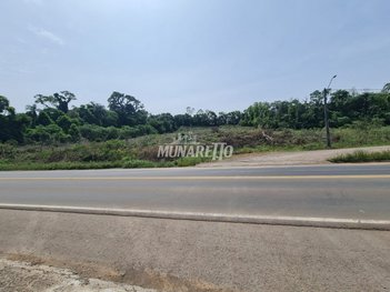 commercial_land_lot em Rodovia Caetano Chiuchetta, Colinas - Concórdia - SC