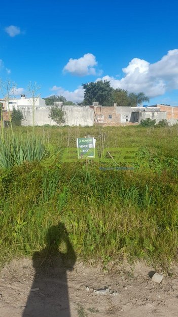 land_lot em Santa Cruz do Sul, Laranjal - Pelotas - RS